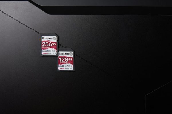 Tarjeta De Memoria flash Canvas React Plus 128 GB SD UHS-II - Imagen 5