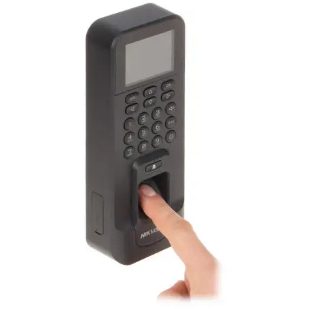 59810066
