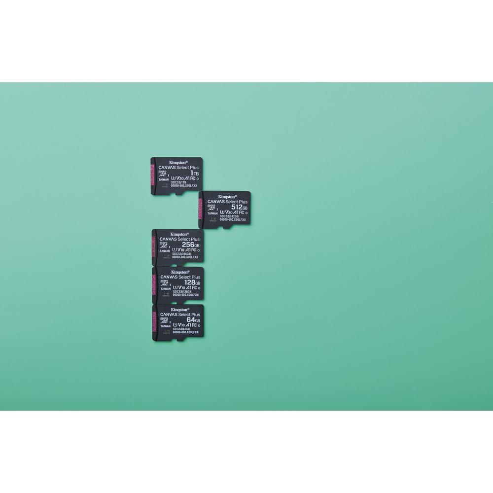 66305824