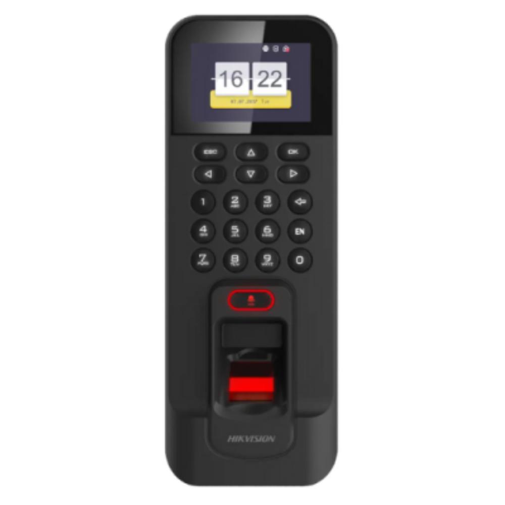 59810037